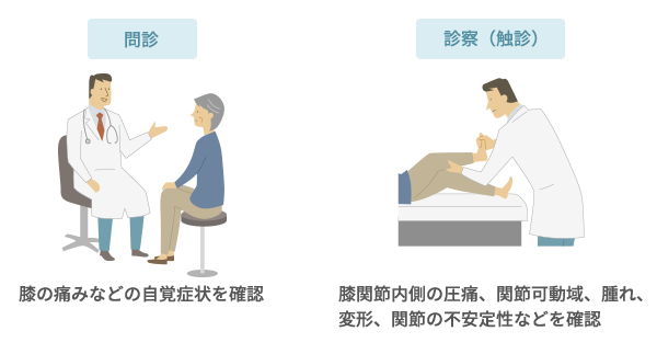 問診・診察（触診）イメージ